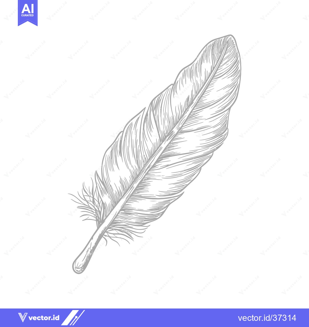 Premium Vector dari Detailed Hand-Drawn Illustration of a Single Feather