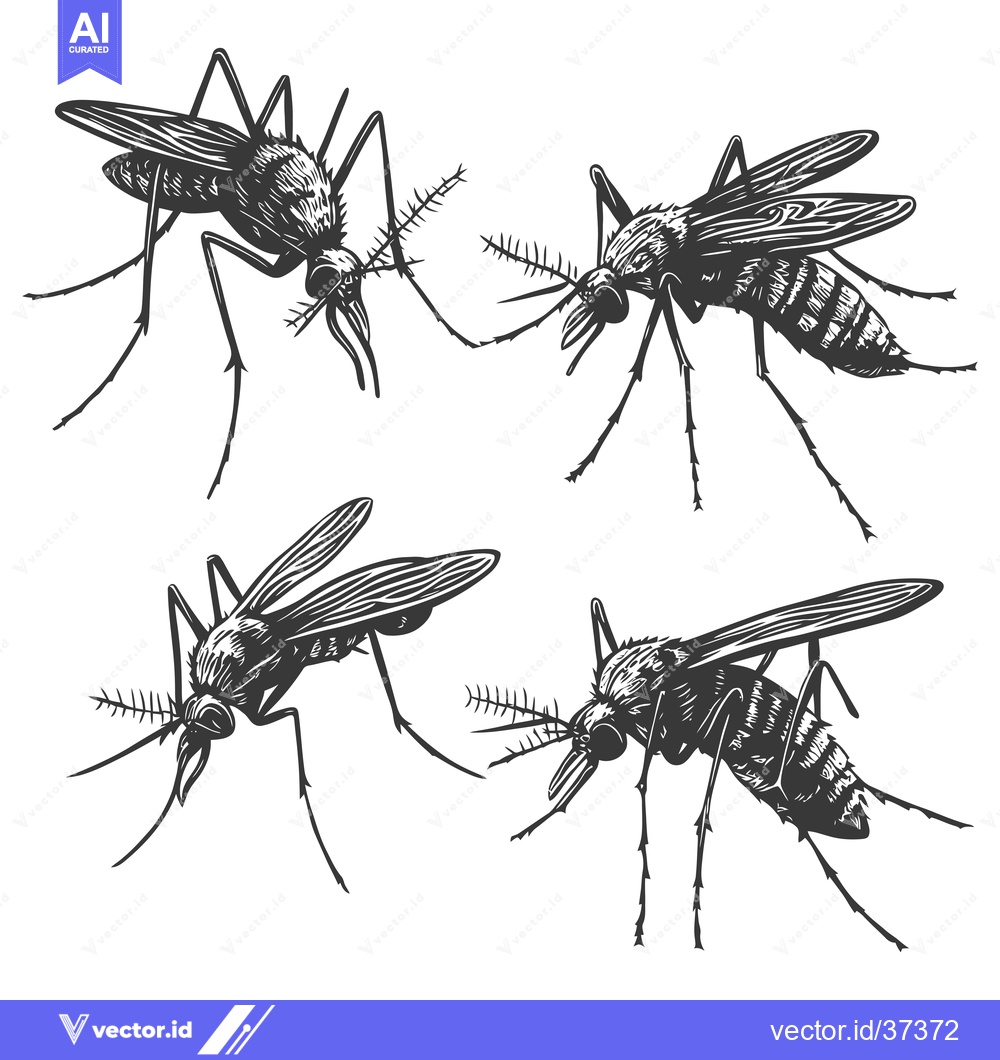 Premium Vector dari Detailed Illustration of Four Mosquitoes in Various Poses