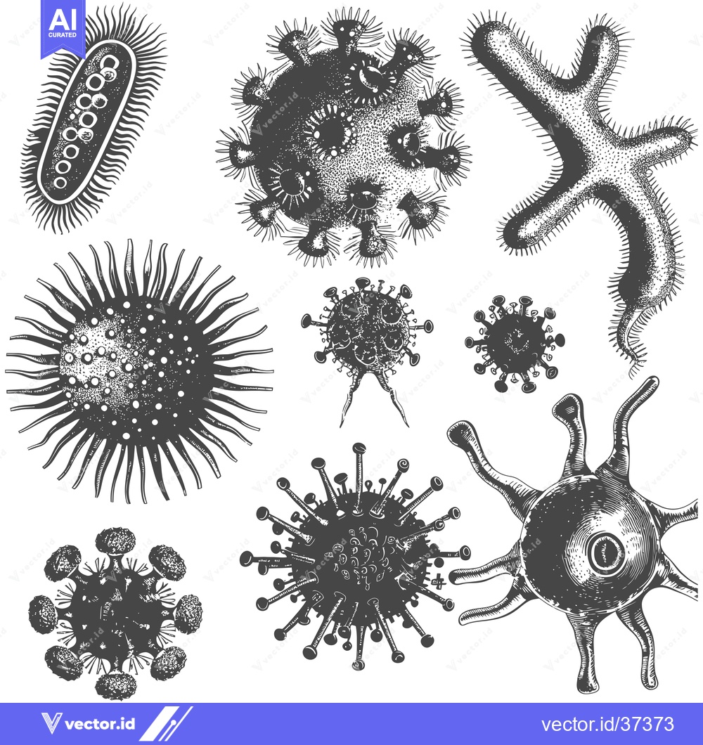 Premium Vector of Detailed Illustrations of Various Microorganisms