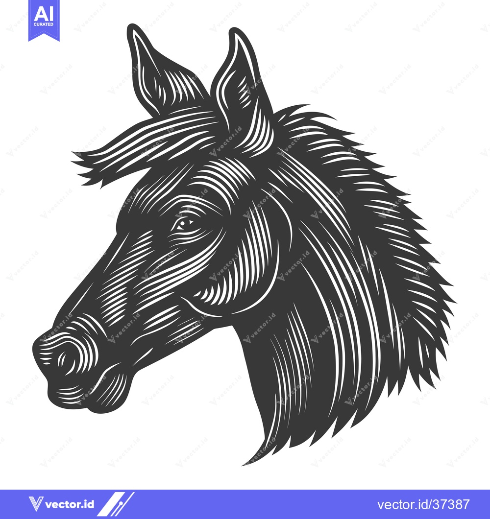 Premium Vector of Detailed Line Art Illustration of a Donkey's Head