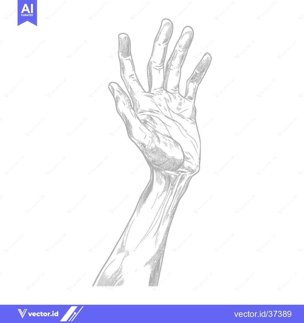 Premium Vector of Detailed Line Art Illustration of a Hand Reaching Upwards