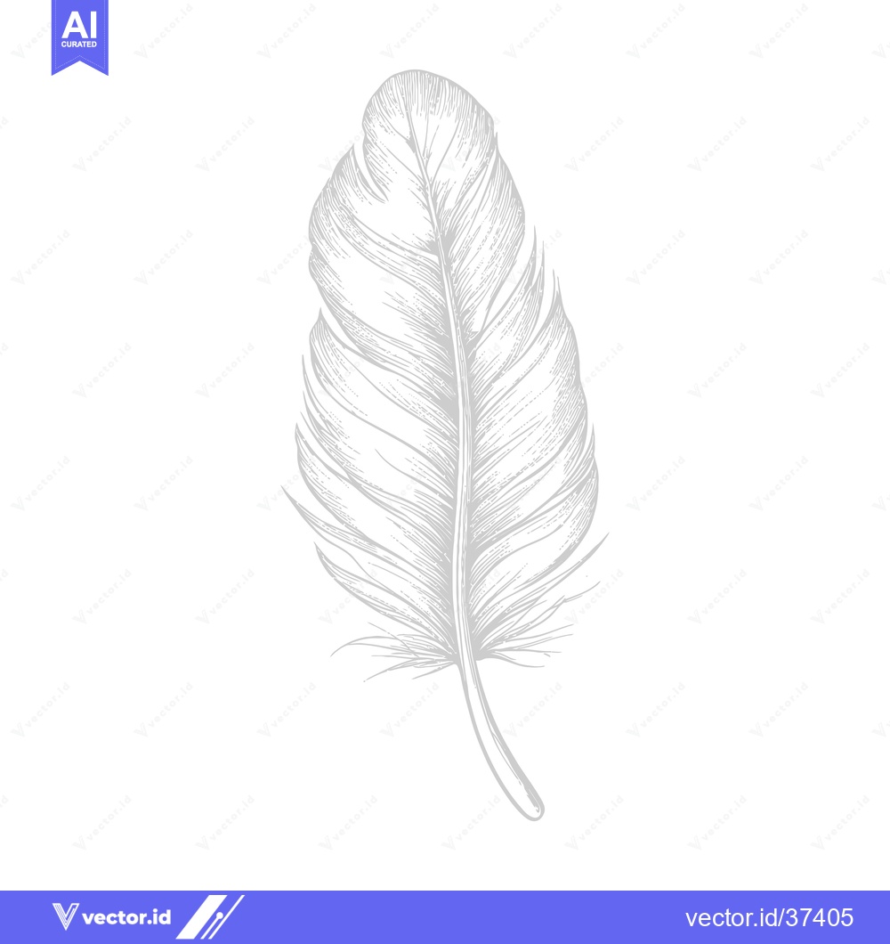Premium Vector dari Detailed Line Drawing of a Single Bird Feather