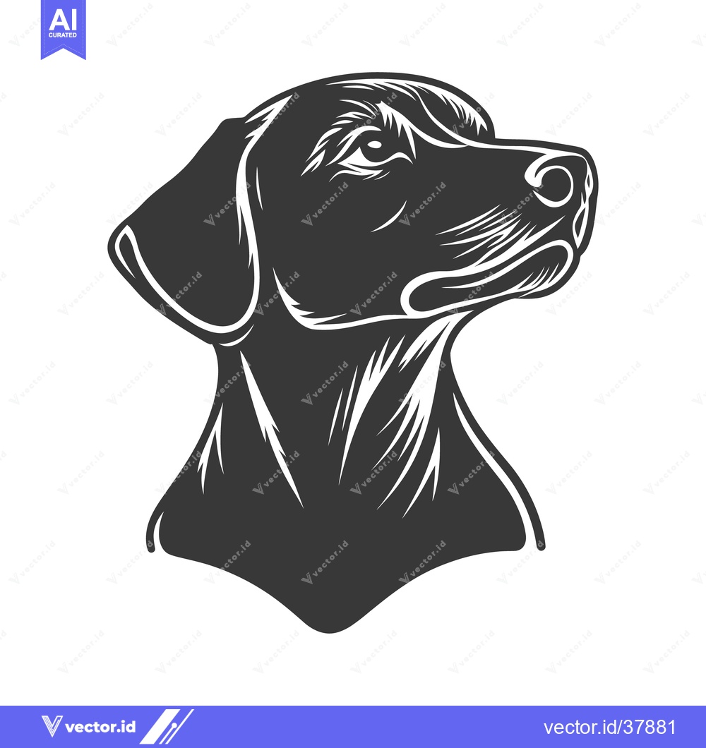 Premium Vector dari Silhouette illustration of a dog looking attentively upwards with focu