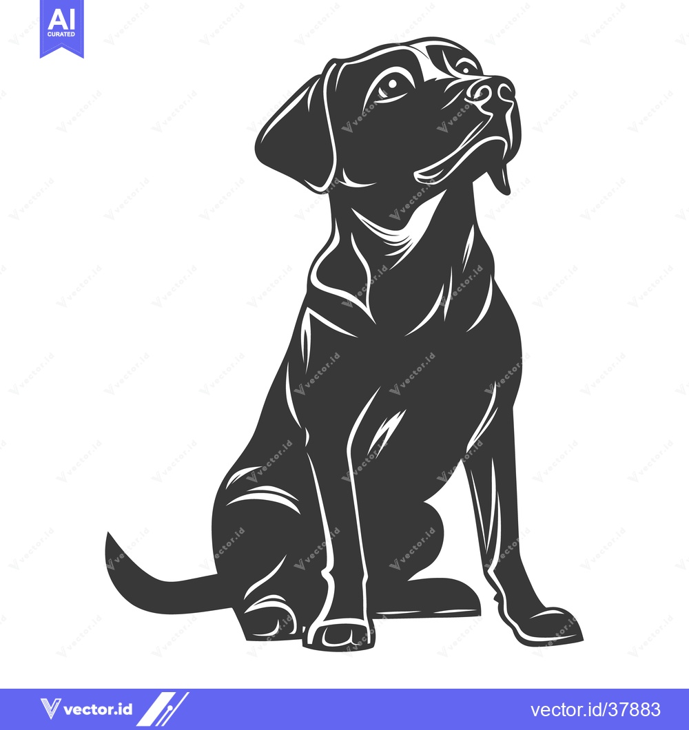 Premium Vector of A seated black dog is looking upwards with great anticipation