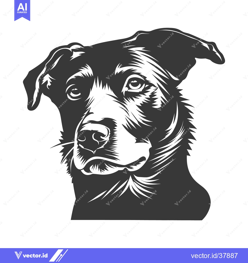 Premium Vector dari A detailed black and white portrait of a dog looking forward