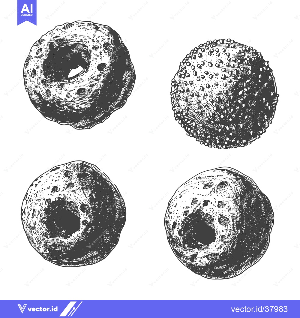 Premium Vector of Engraved Illustrations Of Various Donuts And Sweet Treats