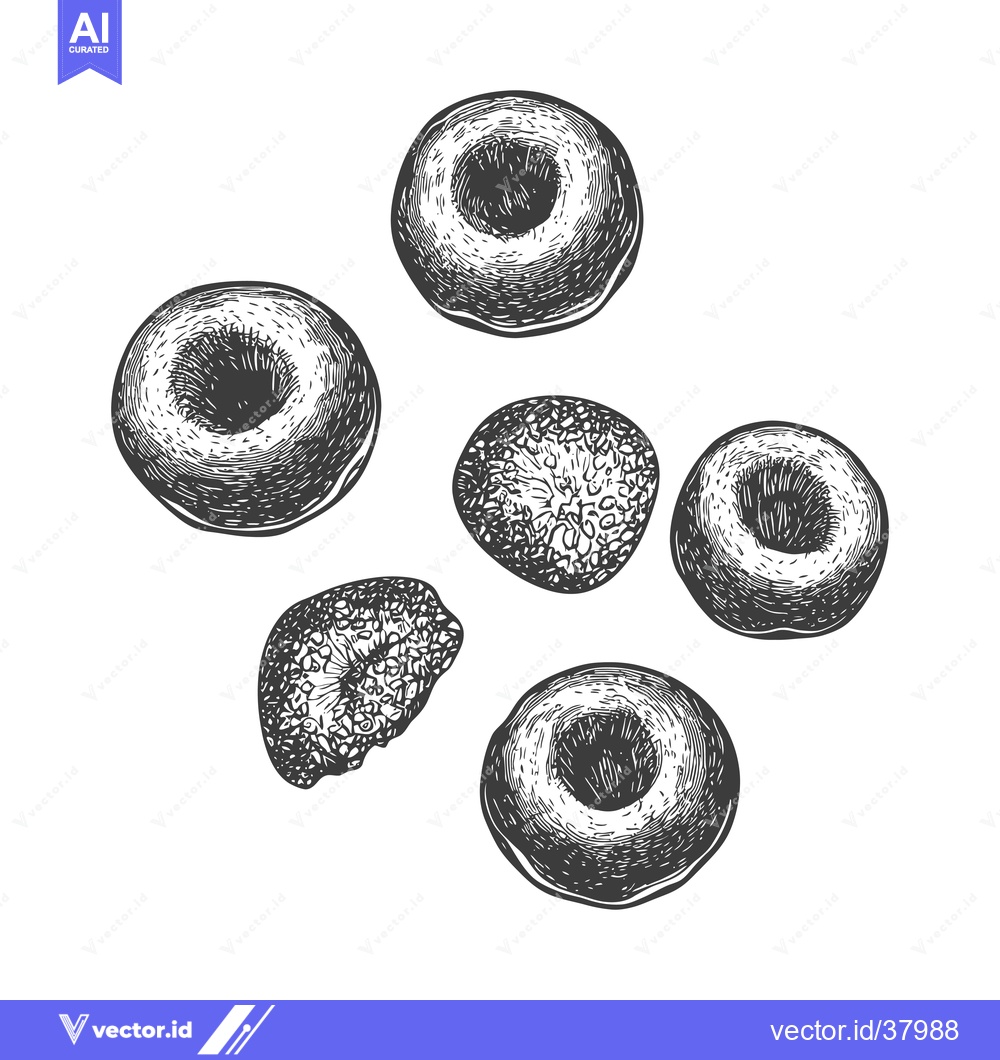 Premium Vector dari Hand Drawn Illustration Of Several Round Donuts