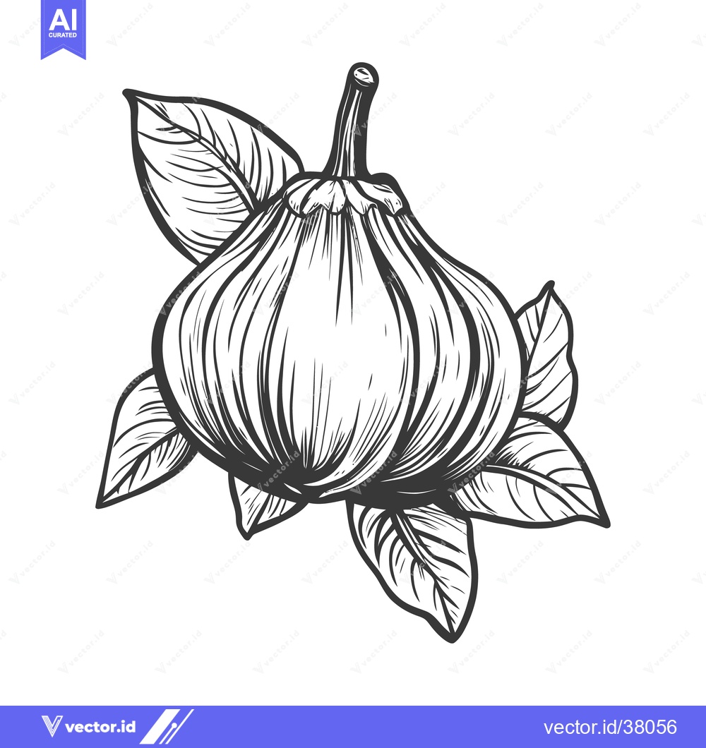 Premium Vector of An illustrated drawing of a fruit surrounded by several leaves