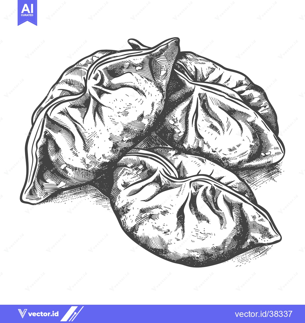 Premium Vector of Hand Drawn Illustration Of Delicious Steamed Dumplings