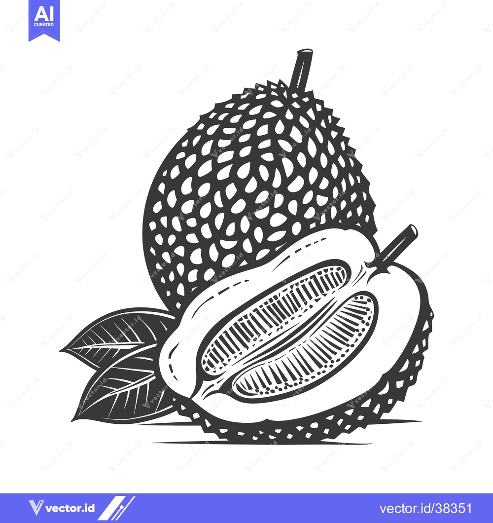 Premium Vector dari Durian fruit with a spiky outer shell and a half-cut section revealing