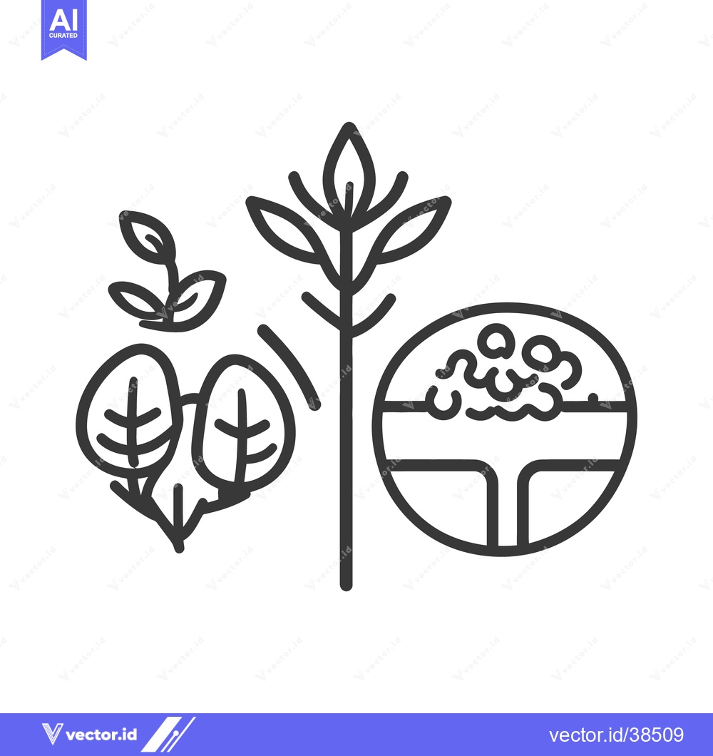 Premium Vector dari Line art depiction of plants and cross section of root