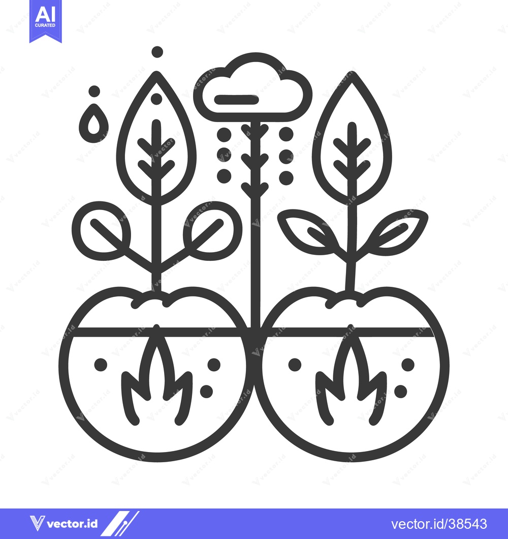 Premium Vector of Conceptual illustration depicting the life cycle of plants and rain