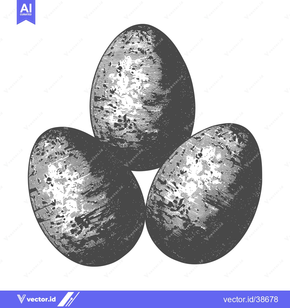 Premium Vector of Three speckled eggs arranged in a triangular formation