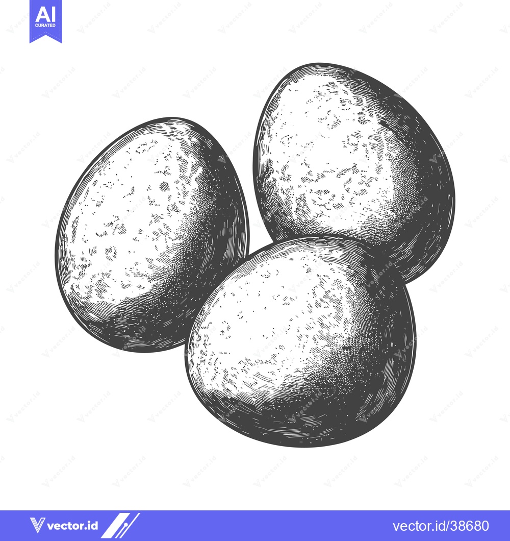 Premium Vector of Three Eggs Illustrated In A Vintage Style