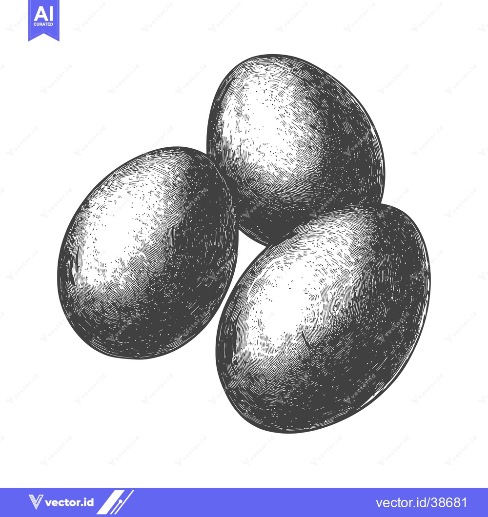 Premium Vector dari Three Eggs in a Vintage Woodcut Style Illustration