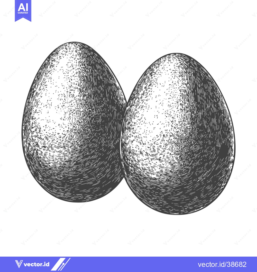 Premium Vector dari Two Eggs Drawn in Vintage Style Illustration