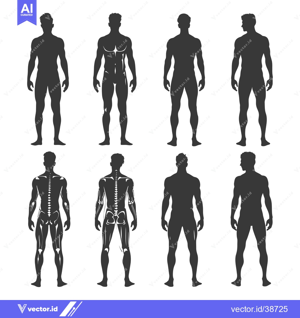 Premium Vector of Eight Silhouettes of a Male Figure in Different Poses