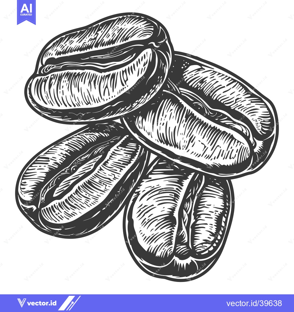 Premium Vector dari Engraved Illustration of Four Coffee Beans