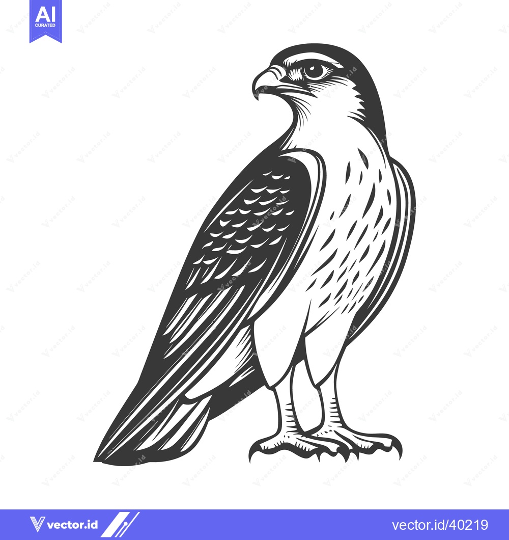 Premium Vector of A detailed black and white illustration of a perched hawk