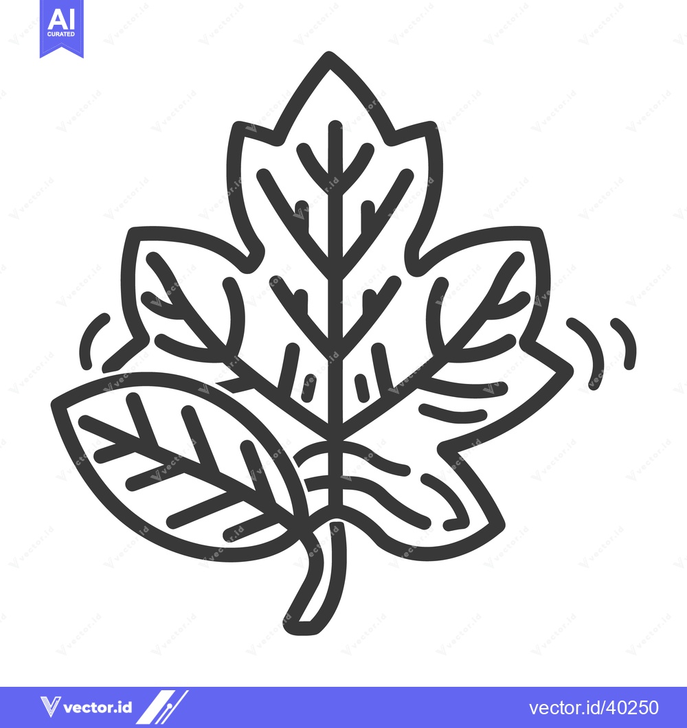 Premium Vector of A detailed black outline of a leaf with veins depicted