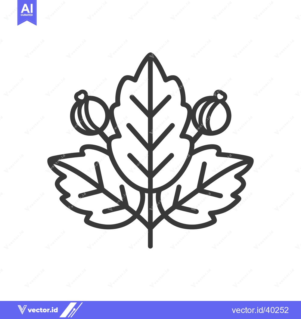 Premium Vector dari A symmetrical illustration depicting several leaves and small berries