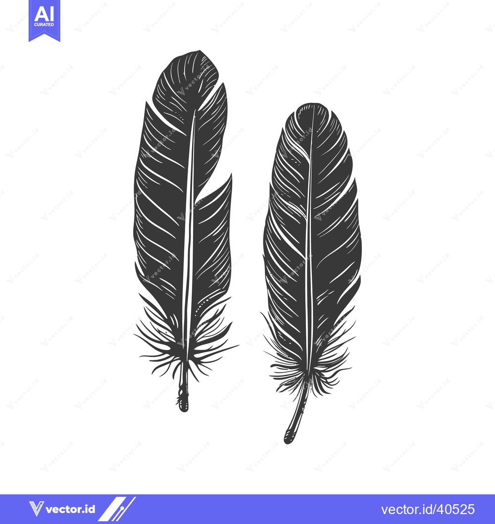 Premium Vector dari Two detailed black and white feathers on a plain white background