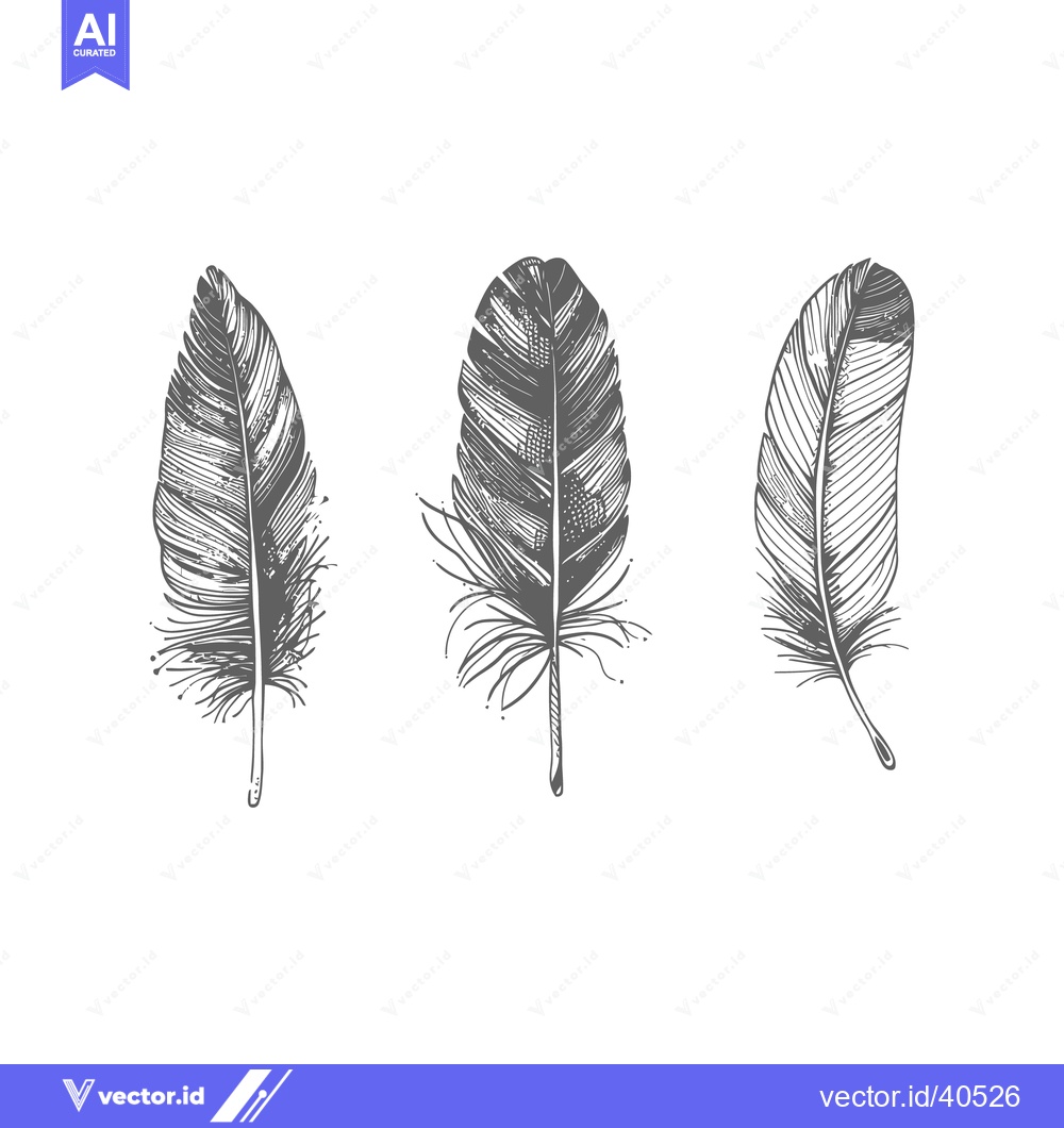 Premium Vector of Three detailed illustrations of delicate feathers on white background