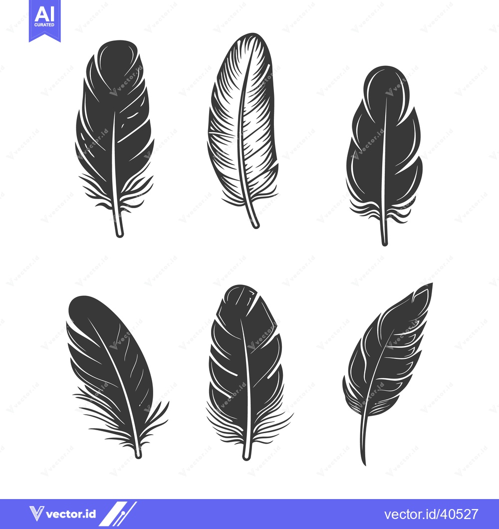 Premium Vector dari Six decorative feather illustrations isolated on a clean white backgro