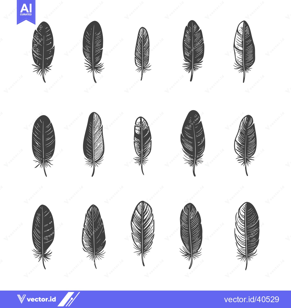 Premium Vector dari Illustration shows several hand drawn feathers in a symmetrical arrang