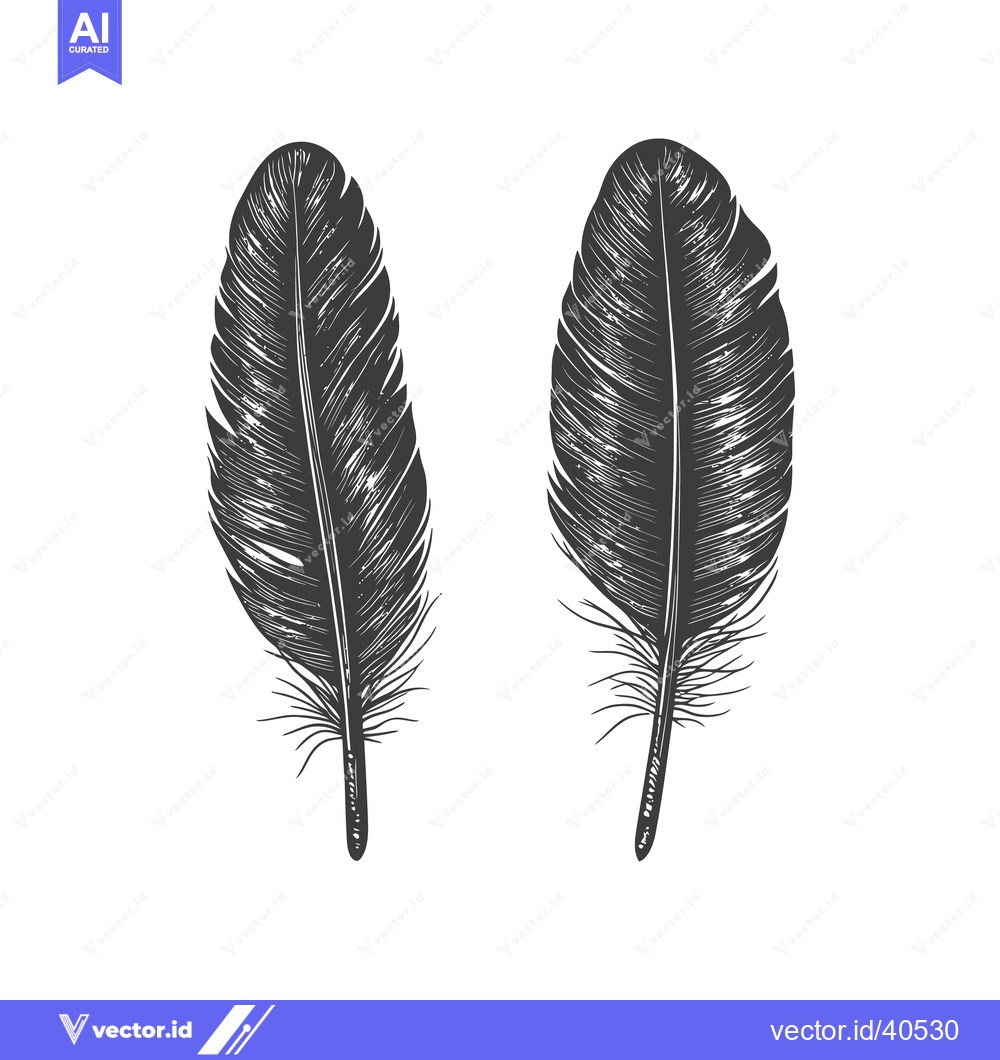 Premium Vector of Two detailed monochrome illustrations showcasing individual bird feath