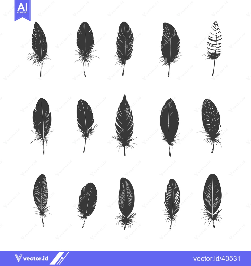 Premium Vector of Several grayscale feathers displayed on a white background in a grid