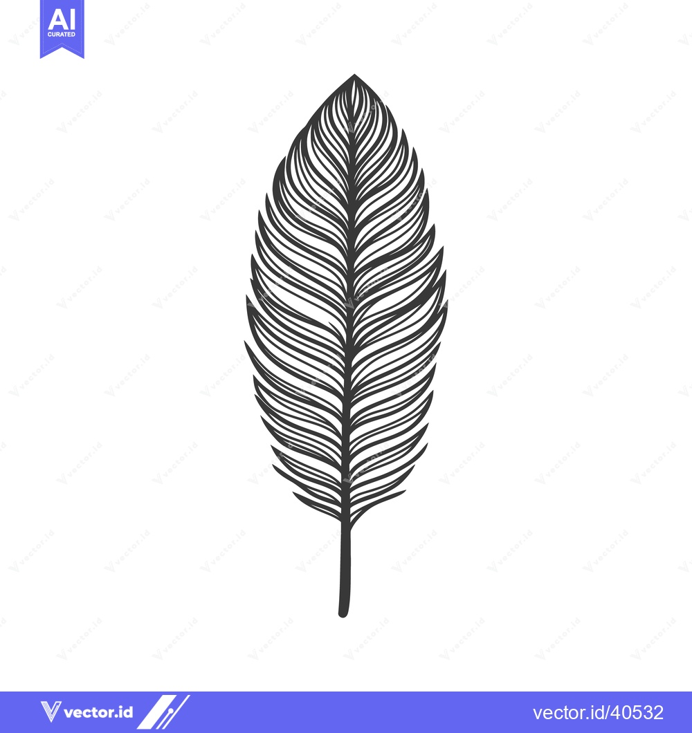 Premium Vector dari An elegant black and white illustration of a feather with details