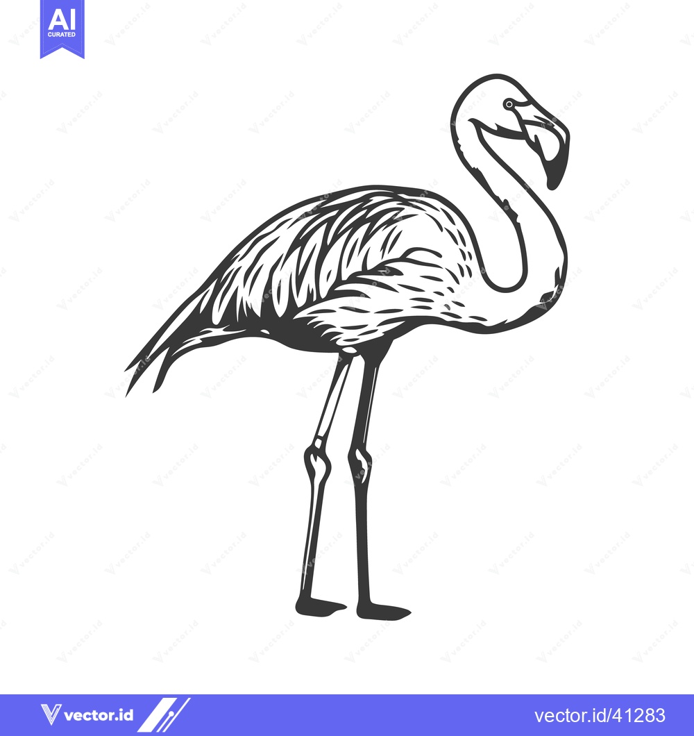 Premium Vector of An isolated black and white illustration of a long legged flamingo