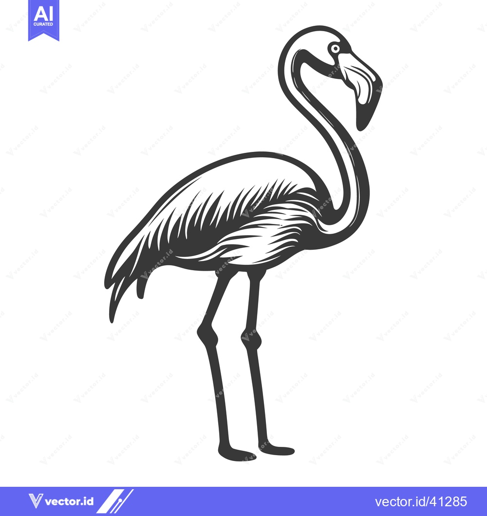 Premium Vector of A detailed grayscale illustration of a tall flamingo bird