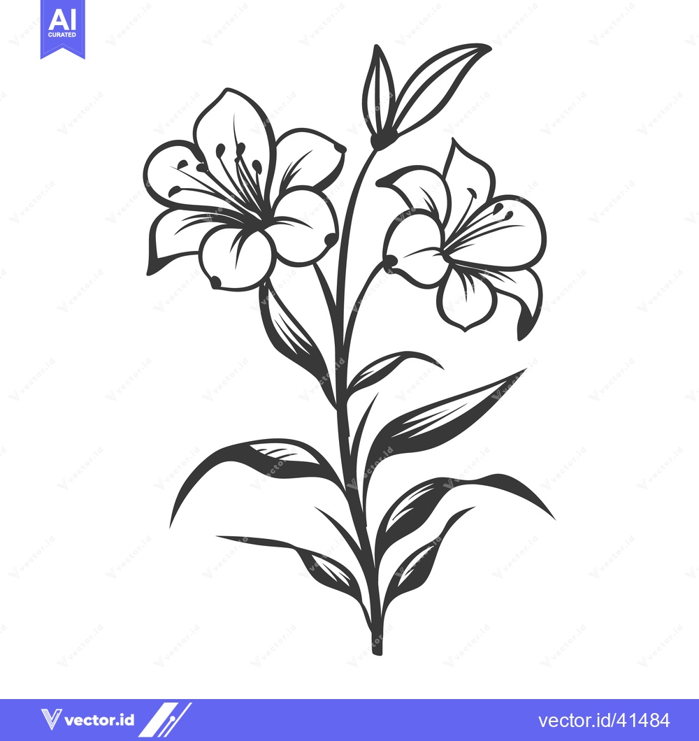 Premium Vector dari A beautiful line art illustration featuring two blooming flowers with