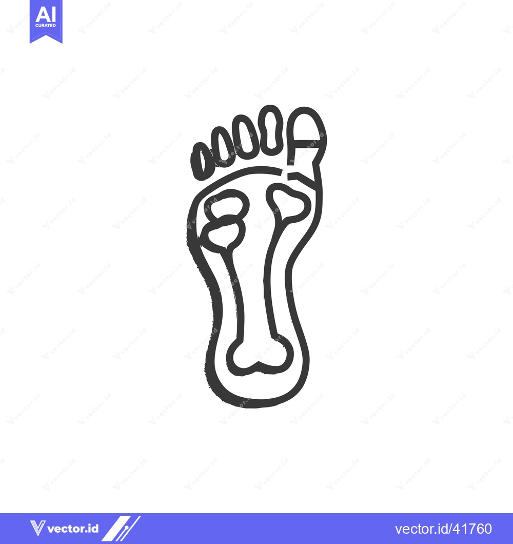 Premium Vector dari Foot Anatomy Sketch: Sole, Toes, and Bone Structure Illustration