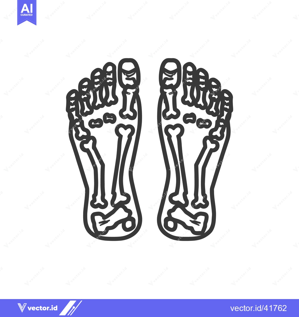 Premium Vector of Anatomical Foot Skeleton Outline: Detailed Podiatric Illustration on W