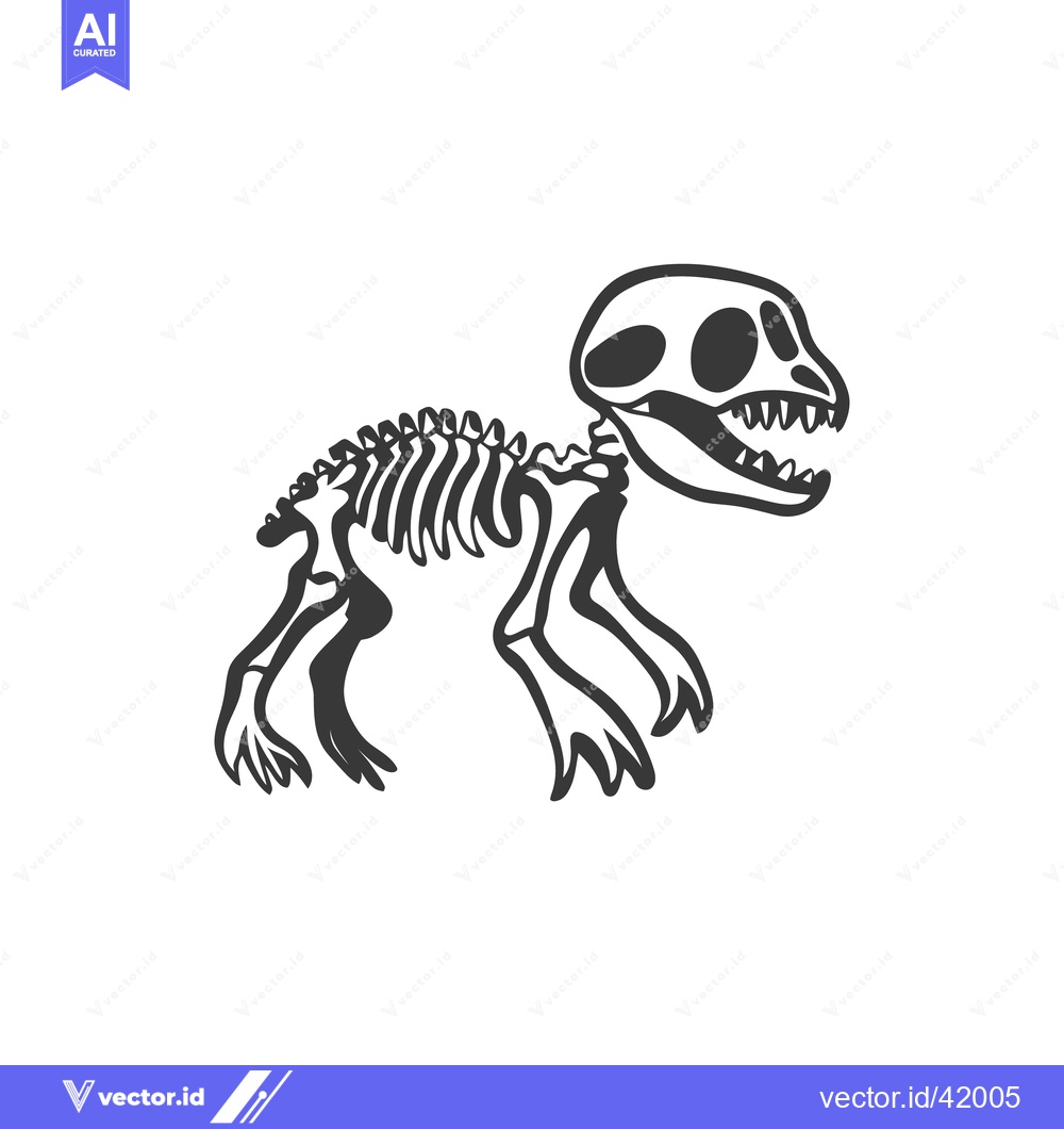 Premium Vector of An illustration of a dinosaur skeletal structure on a white background