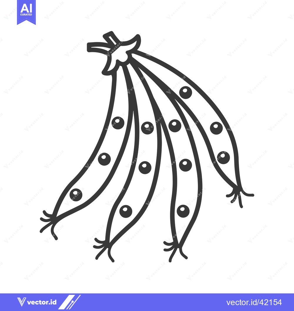 Premium Vector of Four Pea Pods with Multiple Peas Inside, Line Drawing