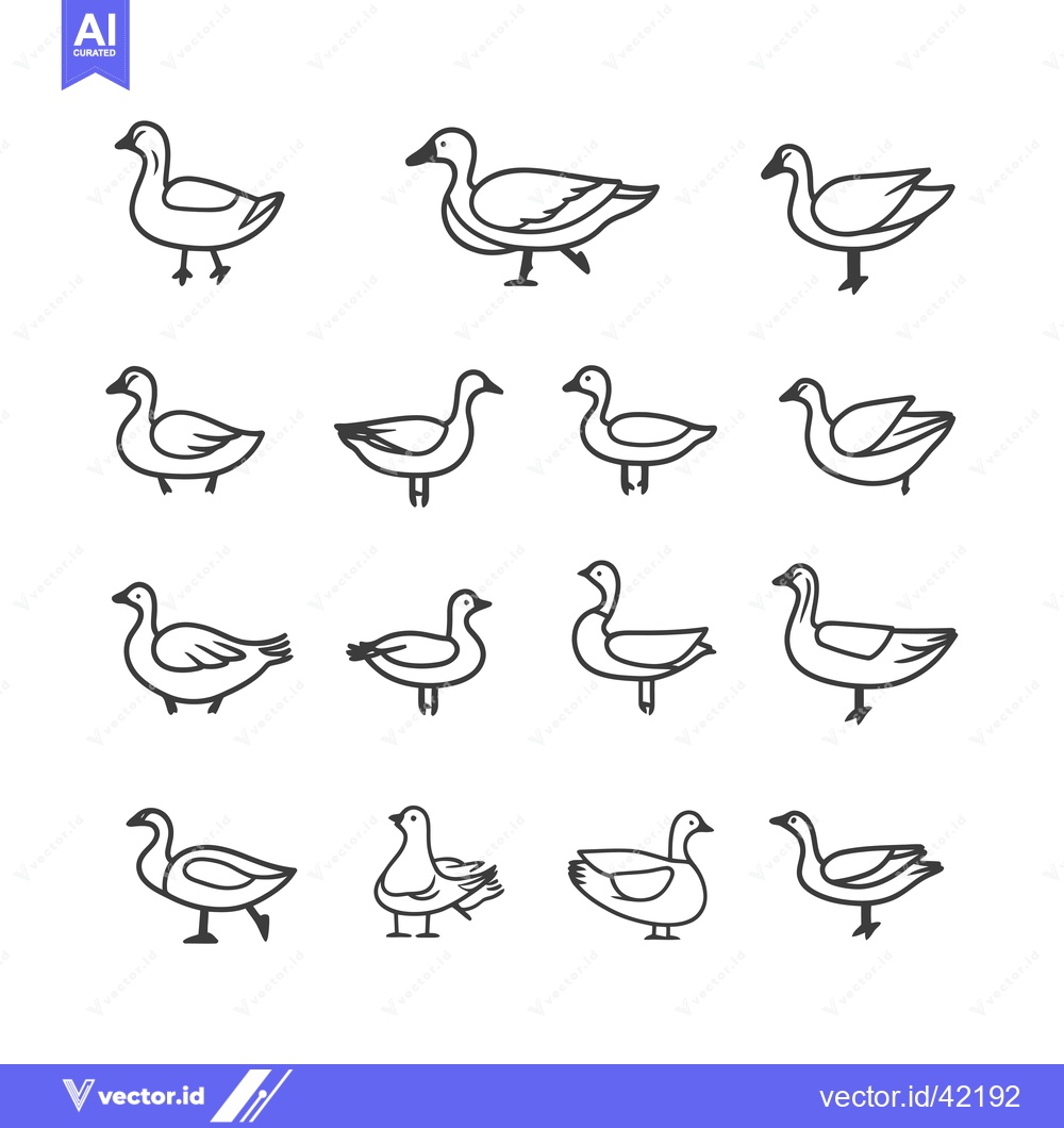 Premium Vector of Fourteen Simple Line Drawings of Ducks