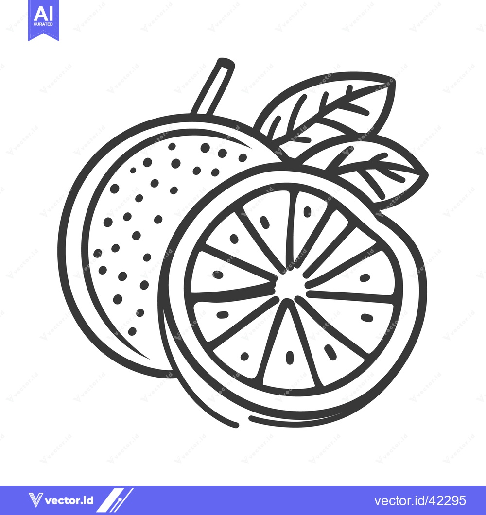 Premium Vector of A line drawing depicting a citrus fruit with a sliced portion