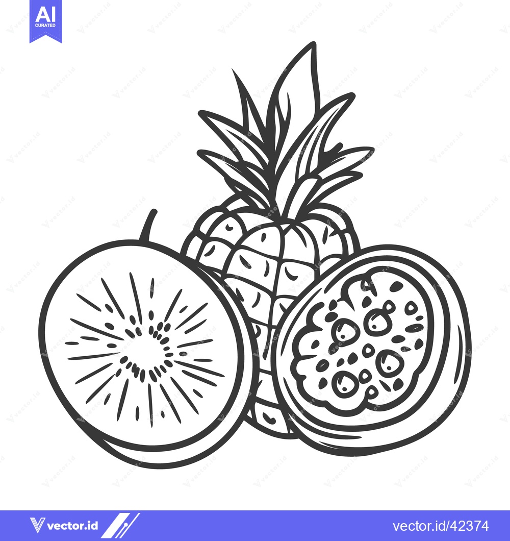 Premium Vector dari A monochrome line drawing depicts three types of sliced fruits