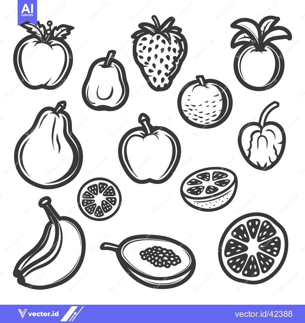 Premium Vector dari A collection of various illustrations of different kinds of fruits