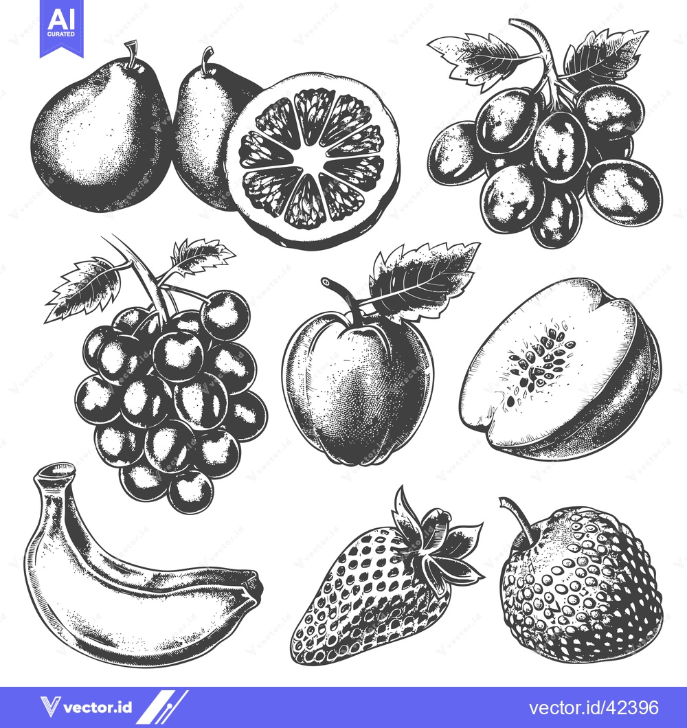 Premium Vector dari Collection of Hand Drawn Fruits and Berries