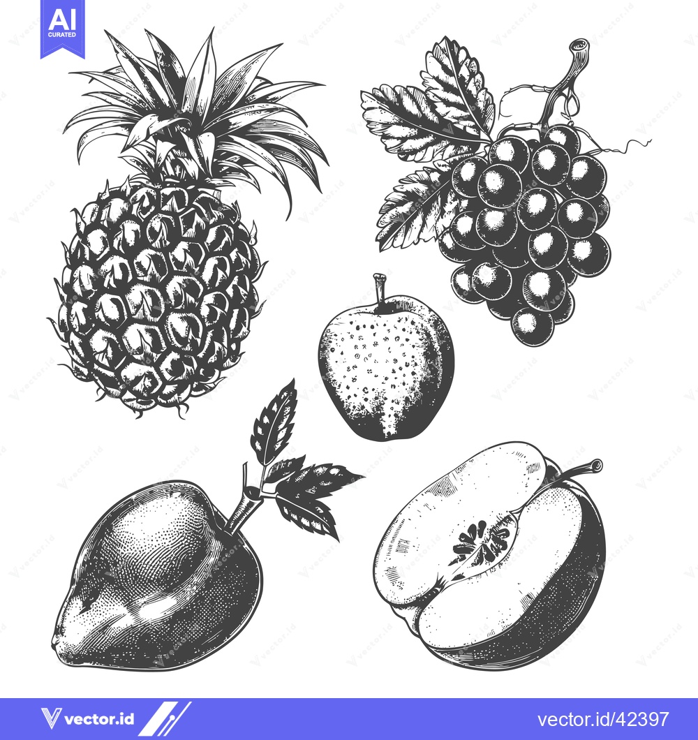 Premium Vector of Hand Drawn Illustration of Assorted Fruits Including Pineapple Apple a