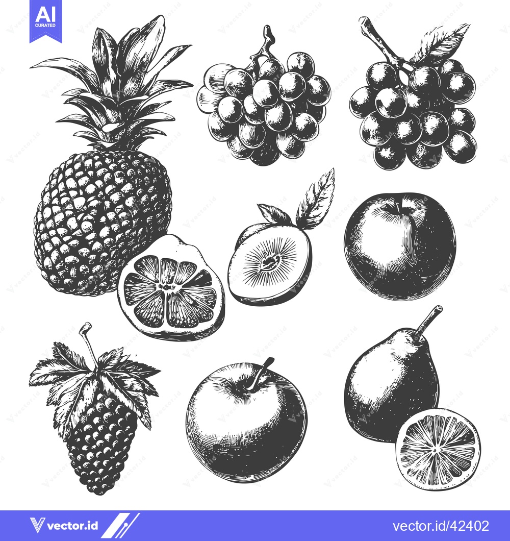 Premium Vector dari Hand Drawn Illustrations Of Assorted Fresh Fruits