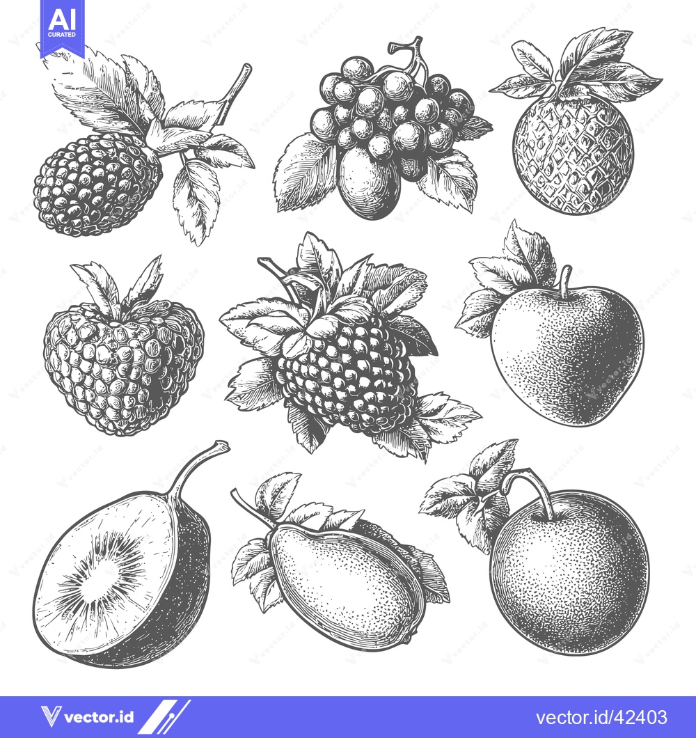 Premium Vector of Hand Drawn Illustrations Of Various Fruits And Berries