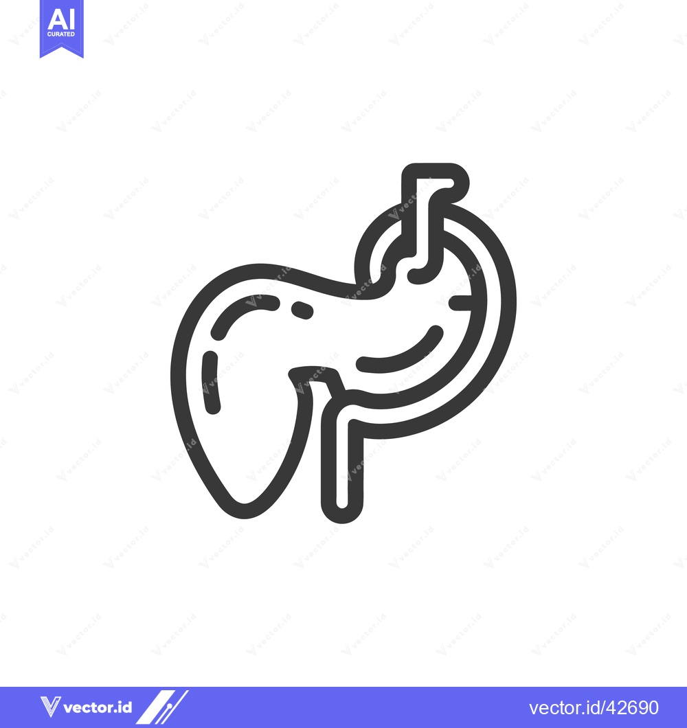 Premium Vector dari Pancreas Anatomy Outline Icon, Medical Illustration, Digestive System,