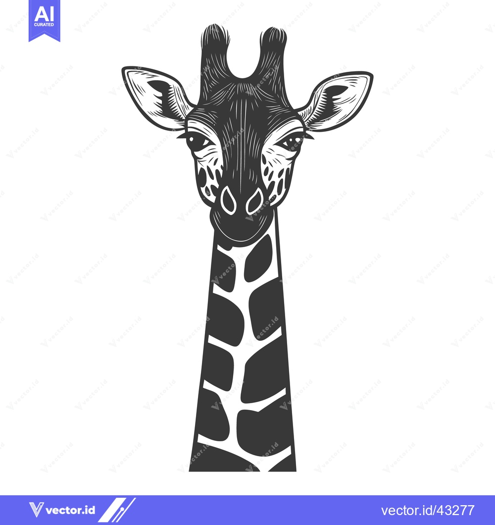 Premium Vector of A detailed black and white illustration of a giraffe head