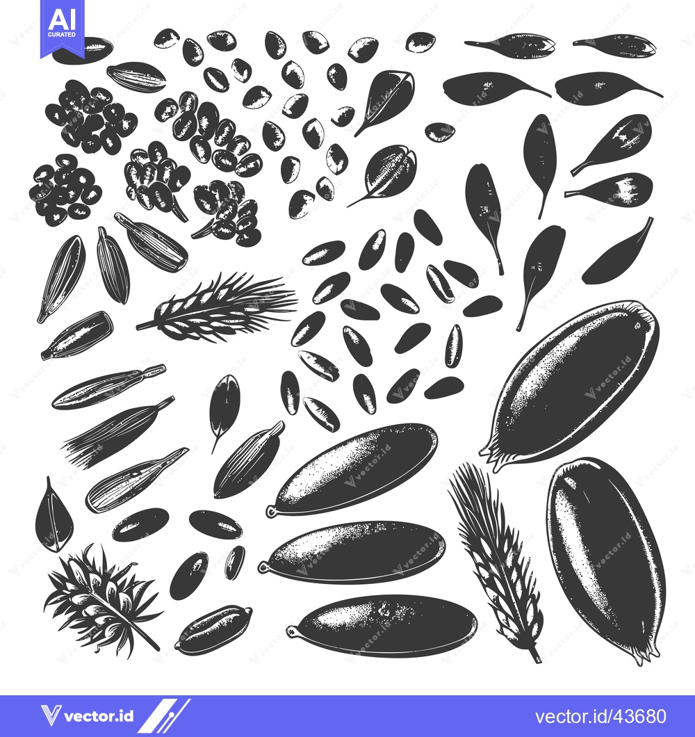 Premium Vector dari A Collection Of Various Seeds Grains And Leaves